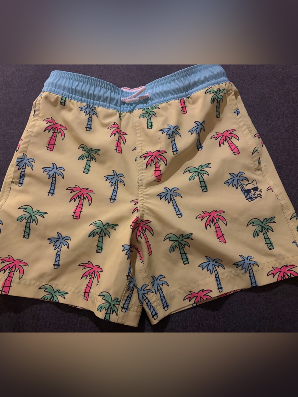 Party Pants Palm Tree Swim Trunks